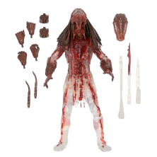 Figura Ultimate Bear Blood Feral Predator Prey 18cm